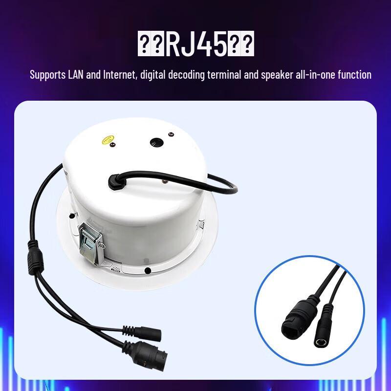 MIKEGOLS POE SIP Conference Ceiling Speaker CN Plug (adapter Included)