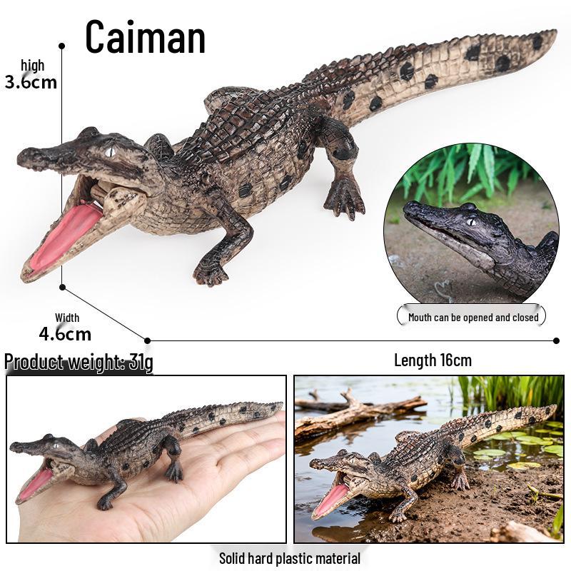 Realistic Wild Animal Models: Rhino, Hippo, Panda, Jaguar, Lion, Camel Cognitive Toys for Children