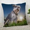 Pillow Cover Customize Schnauzer Pillow Case Modern Home Decorative Pillowcase For Living Room 45X45Cm,40X40Cm A.4.29