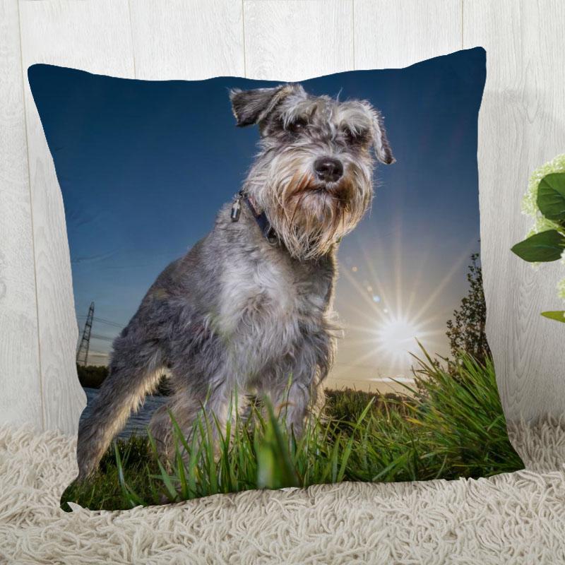 Pillow Cover Customize Schnauzer Pillow Case Modern Home Decorative Pillowcase For Living Room 45X45Cm,40X40Cm A.4.29