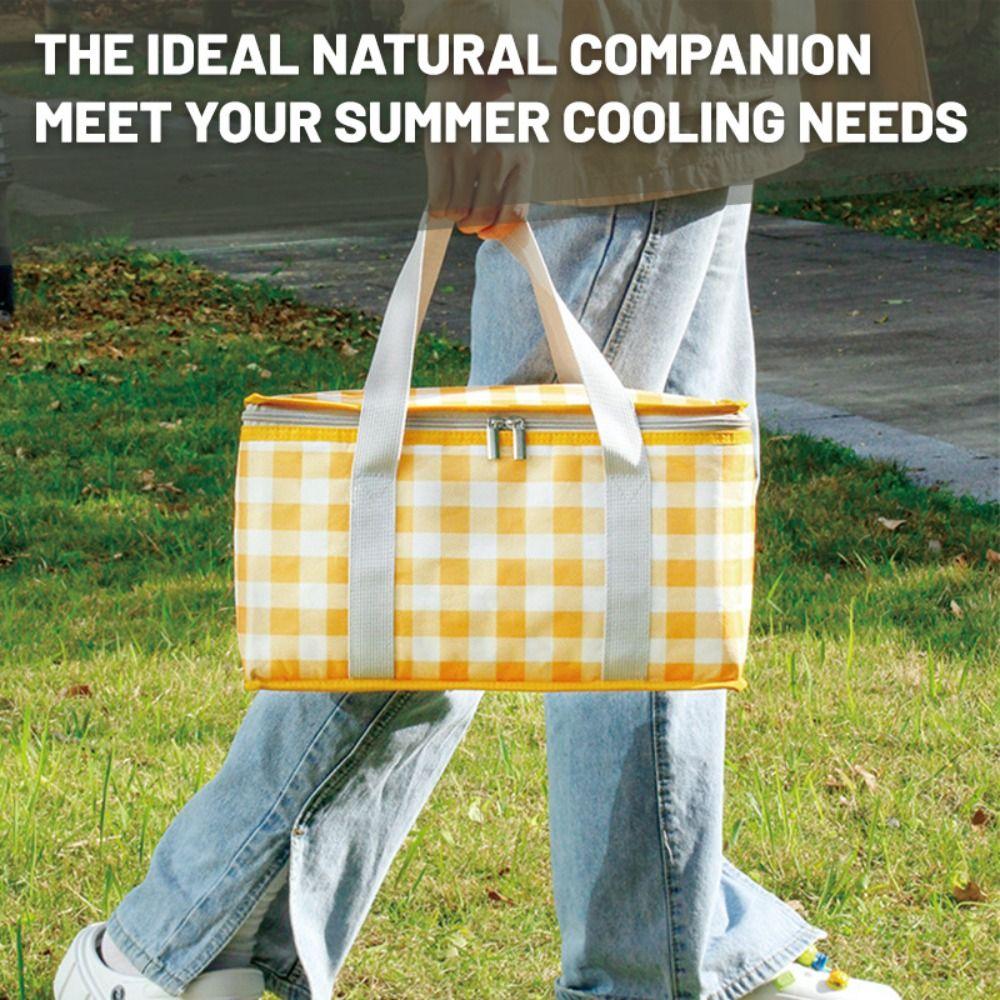 BBQ Meal Camping Food Storage Bag Food Hand Bags Thermal Insulated Cooler Box Spring Day Picnic Bag