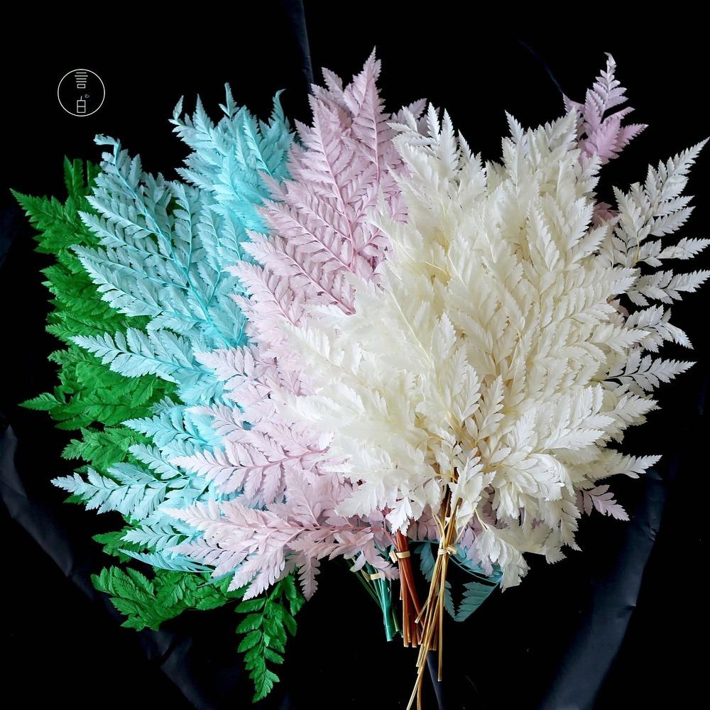 Preserved Fern Leaf for Home Decoration,Eternal Life,Natural Real Fern Plant,Handmade Flowers Material,Wedding,Home, 5Pcs,10Pcs