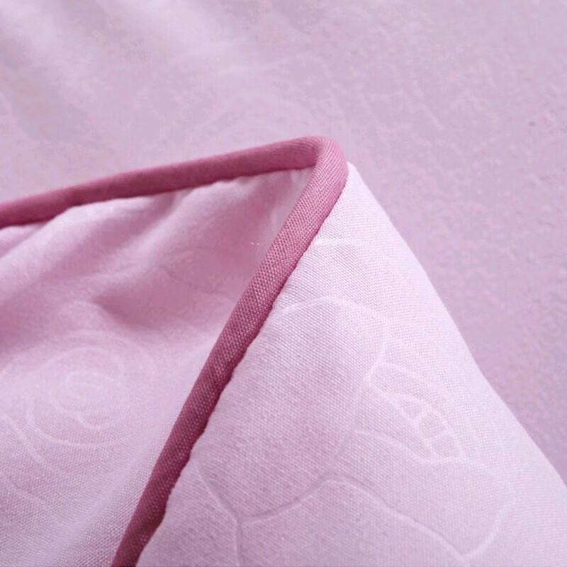 ANCHOW Feather Velvet All-Season Duvet