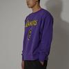 Jordan Nba Los Angeles Lakers LeBron James Fleece Loose Fit Sweatshirt DR2409-504