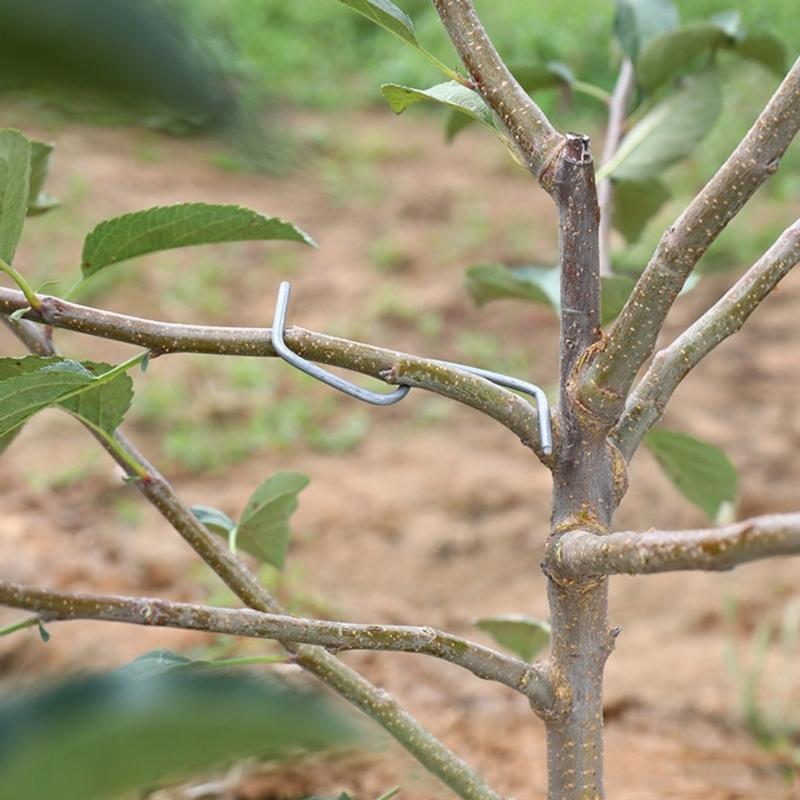 20/50/100Pcs Fruit Tree Branch Fruit Tree Branch Spreader Tree Branch Spreader Puller Tying Machine Farm Tools