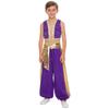 Boys Arab Prince Cosplay Costume 2Pcs: Loose Vest & Metallic Shiny Patchwork Bloomers Harem Pants Outfit for Halloween Party