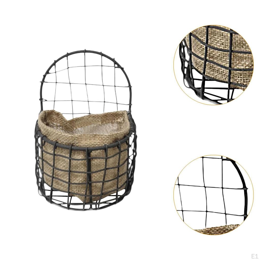 Contemporary Wall Mounted Plant Display for Indoor
