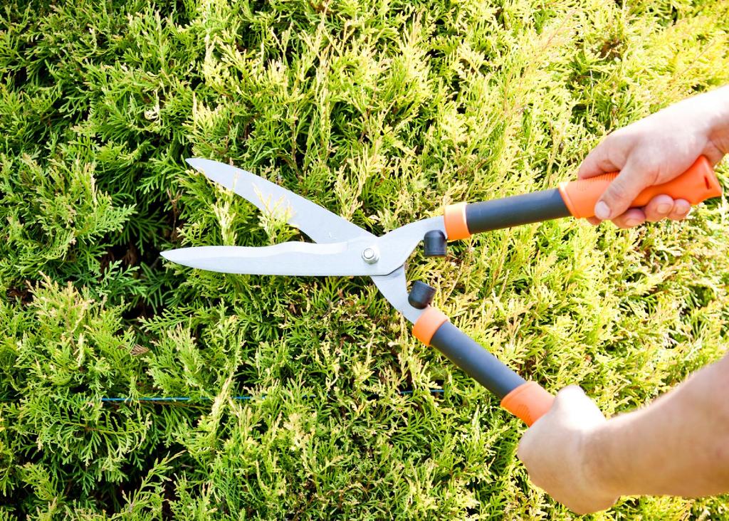 KADAX Forbici Cesoie Giardino Manuale Taglio Siepi Arbusti Affilato Solido