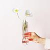Nordic Handmade Striped Glass Vase for Mini Flower Arrangements – Transparent Ornament for Living Room Decor