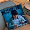 Park Jihoon Weak Hero Class Choi Hyun Wook Pillow Case Sofa Living Room Bedroom Headboard Backrest Cushion Square Cushion Nap