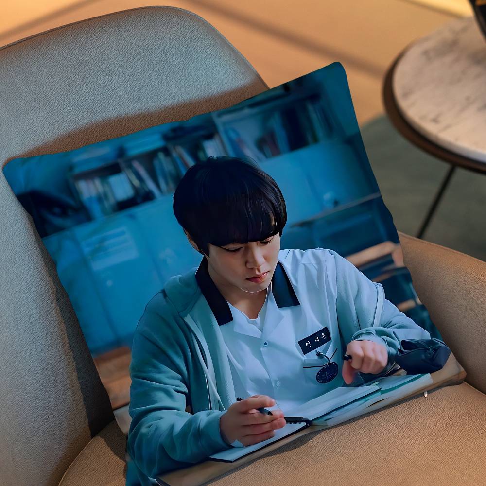 Park Jihoon Weak Hero Class Choi Hyun Wook Pillow Case Sofa Living Room Bedroom Headboard Backrest Cushion Square Cushion Nap
