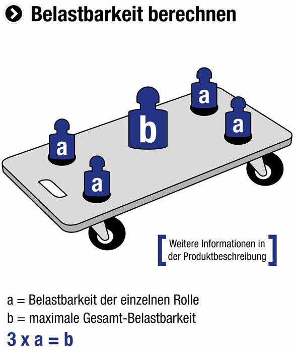 Roulette fixe en caoutchouc - meister - 800610 - 30x10x10 cm - 1,09 kg - gris