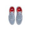Nike Alleyoop SB Obsidian Mist Men Sneakers Grey White CJ0882-400