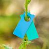 800pcs Plant Labels Wrap Around Tree Sign Markers Regulable Nursery Garden Labels for Outdoor Use In Gardens Orchards