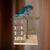 Ladder Toy for Bird Perch Stand Grinding Scratchers Perch Swing Molar Chew Toy for Parrots Parakeets Toy Bird