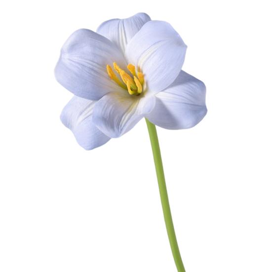 Simulated Tulips Bouquet Realistic Touch PU Petals Fading Vitality Bendable Stems Maintenance-Free Fake Tulips Home Decor