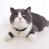 Pet Collar Chinese Style Decorative Skin Friendly Adjustable Cat Dogs Necklace Collar with Pendant Bell for Festival