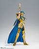 TAMASHII NATIONS Saint Seiya Cloth Myth EX Saint Seiya Aquarius Camus <Revival Edition> Approx. 180mm ABS & PVC & Diecast Painted Movable Figure