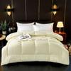 Slanket Flanellfleece Weich Erwachsene Bett Reversible Decke ohne Bezug Mikrofaser Weiche Bettdecke für Alle Jahreszeiten Maschinenwaschbar