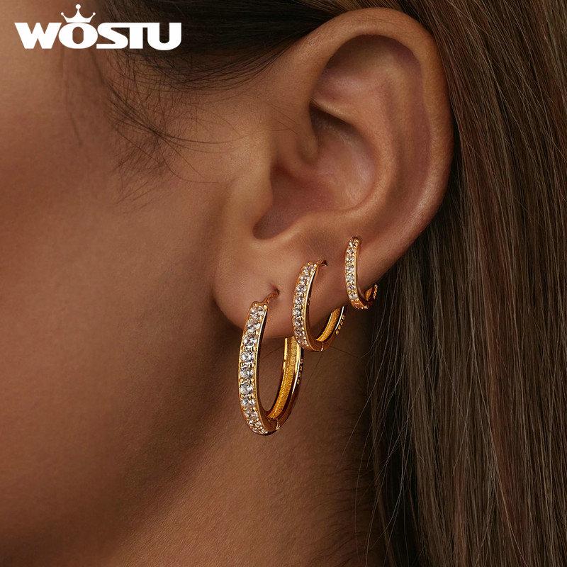 WOSTU 925 Sterling Silver Simple Zircon Round Hoop Earrings for Women European Classical Rock Hoops Wedding Jewelry Accessories