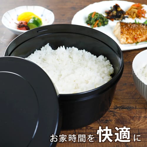 Astro Rice Cooker, Black, 2-Cup Capacity, Microwave, Dishwasher Safe, with Binchotan Charcoal, Made in Japan, 510-10