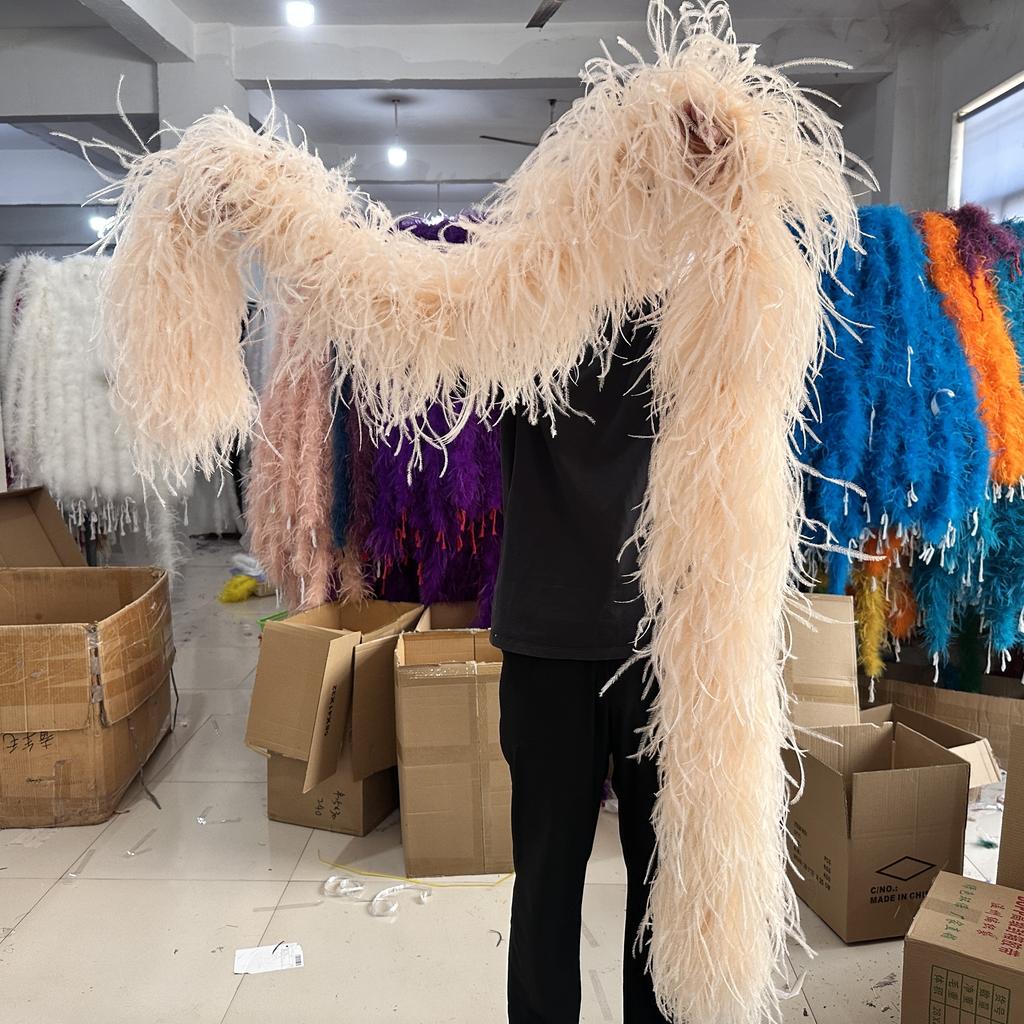DIY Colorful Ostrich Feather Boa 6Ply Fluffy Shawl 0.5/1/2/3/4 Meter for Wedding Dress Carnival Performance Costume Party Decoration
