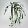 Comosum Chlorophytum Wall Hanging Decoration For Indoor Outdoor Gift Garden