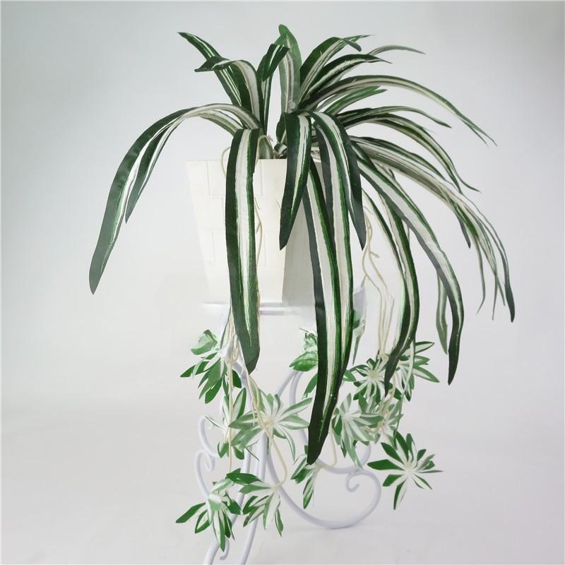 Comosum Chlorophytum Wall Hanging Decoration For Indoor Outdoor Gift Garden
