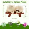 Smile Face Planter Resin Flower Pot Planter with Drainage Hole Novelty Design Succulent Flower Pot Home Garden Flower Container