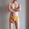Zhongshan Men's Retro Cotton Sports Mid-Waist Breathable Boxer Briefs