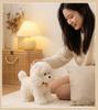Cute Realistic Teddy Dog Plush Toy - Children's Birthday Gift & Desk Companion