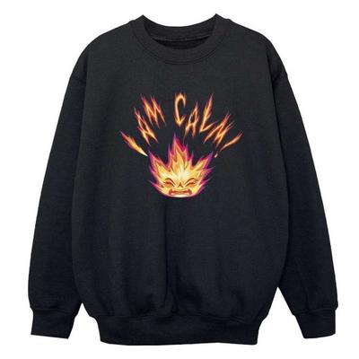 Oberteile (Jungen ab 4 Jahre) – Hoodies & Sweatshirts