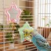 Colorful Beads Star Rotating Parrot Mirror Toy Mirror Parrot Interactive Toy  Bird Supplies