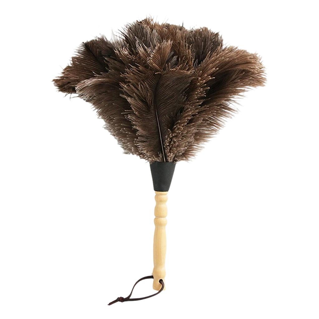 Feather Duster with Wood Handle, Home Cleaning and Dusting Tool
