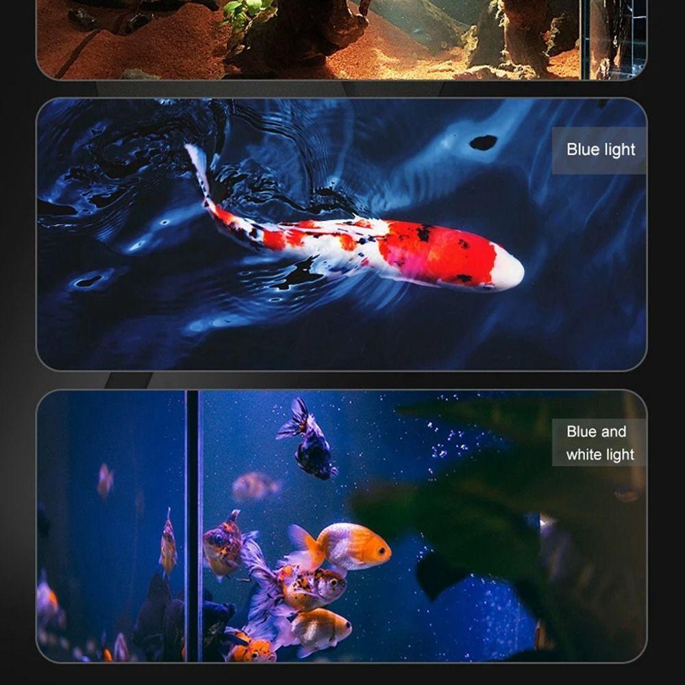 Adjustable Focus Aquariums Fish Tanks Spotlight Aquarium Plants Grow Lamp  Aquatic Plant Grow