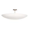 6 Light Elegant Ceiling Flushmount Light Pendant Mid Century Modern Raw Brass