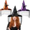 Trend Teen Witch Hat with Black Veil Applique Fashion Adult Teen Flower Witch Hat Halloween Carnivals Cosplay Hat
