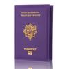 Portable Passport Bank Credit Card Document Cover Holder Case Travel Protector