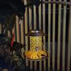 Dual-Purpose Metal Solar Bird Feeder & Decorative Lawn Light