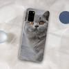 British Shorthair cat Phone Case for Samsung S21 A10 for Redmi Note 7 9 for Huawei P30Pro Honor 8X 10i cover