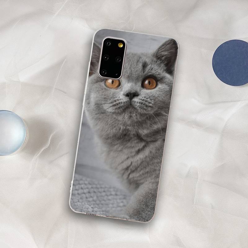 British Shorthair cat Phone Case for Samsung S21 A10 for Redmi Note 7 9 for Huawei P30Pro Honor 8X 10i cover