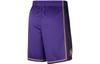 Jordan Dri-FIT Mens NBA Swingman Basketball Shorts Purple DO9432-504
