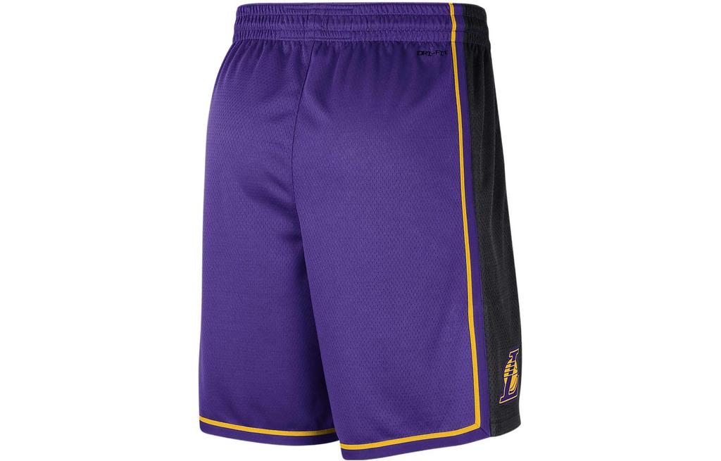 Jordan Dri-FIT Mens NBA Swingman Basketball Shorts Purple DO9432-504