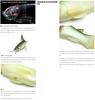 Deps New Slide Swimmer 300 Floating Jointed Lure 01 (6014)