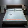 Autumn/Winter Thick Solid Color Cotton Flannel Fitted Sheet & Dust Cover