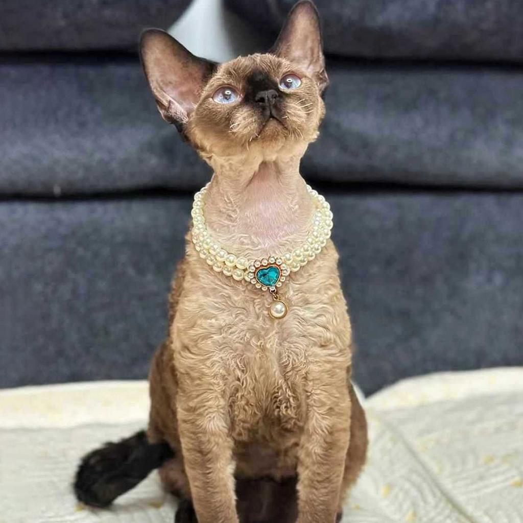 Cute Girl Pearl  Collar  Collars for Girl S with Small Heart Shape Rhinestone Adjustable Length  Collar