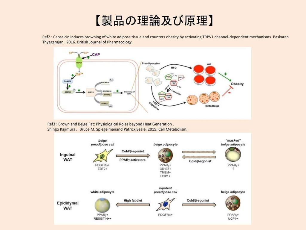 Back pain relief Large type 4 sheets x 11 set Directly applied new sensation heating sheet for back pain and stiff shoulders device [Medical