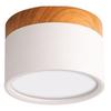 ABFS LED Downlight Mounted Ceiling Downlight Nordic Spot Light For Indoor Foyer,Living Room