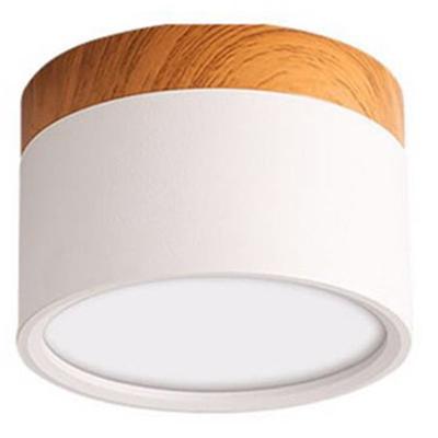 ABWR-For Indoor LED Downlight Mounted Ceiling Nordic Spot Light For Foyer,Living Room