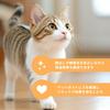 Premium Boar Bristle Pet Shining Round Animal Bristle Brush for Dogs and Care Brush, Brush, Shape, Anti-Static, Natural, Cats, Grooming,